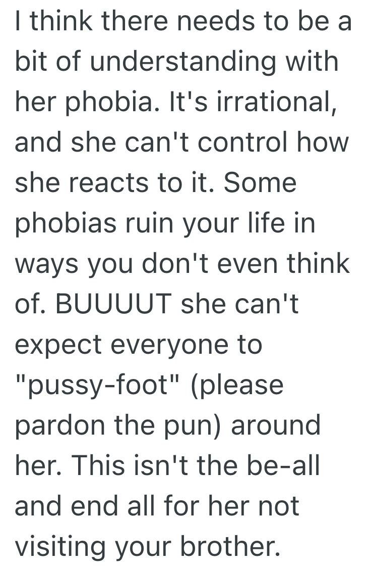 Screenshot 2025 04 01 at 2.06.09 PM Mom Has A Paralyzing Fear Of Cats, But Her Son Adopts One Anyway And Now She Feels Betrayed